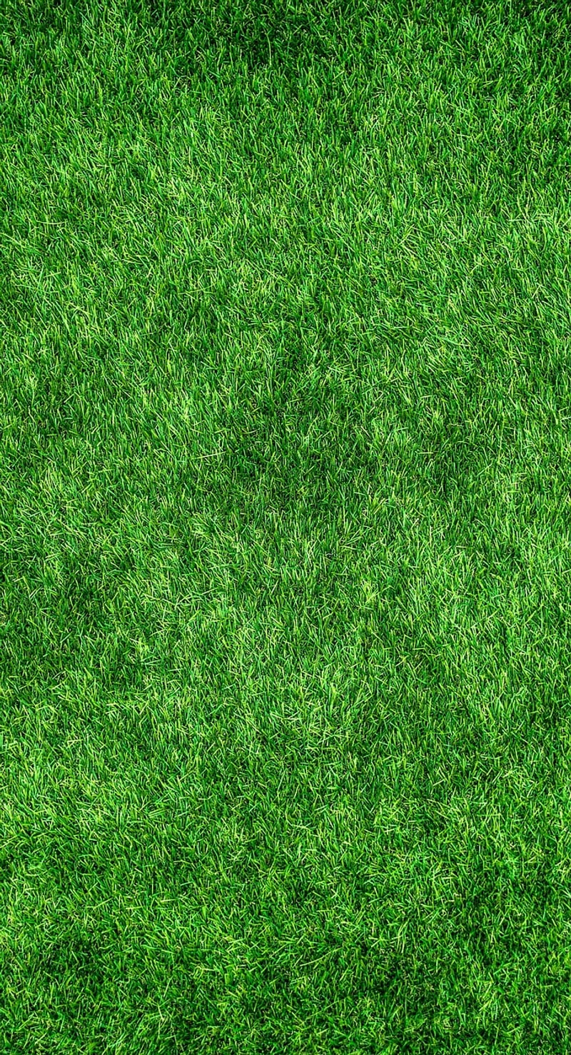 Sustainable Lifestyle